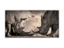 Dřevěné obrazy - Rhinos
